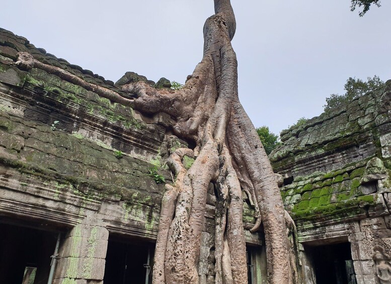 Mixture of temples and waterfall.