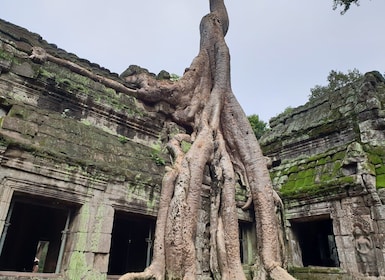 Mélange de temples et de chutes d'eau.