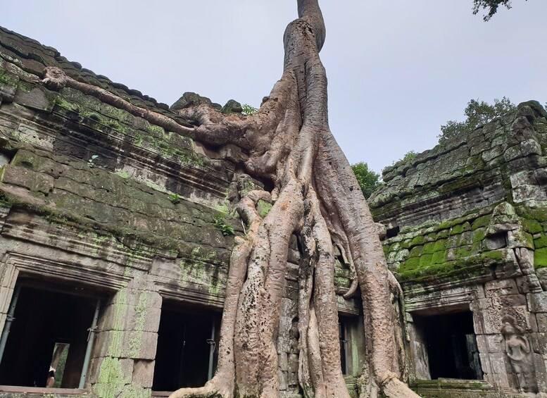 Mixture of temples and waterfall.