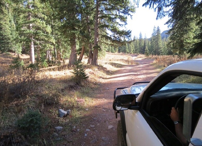 Picture 1 for Activity Durango: La Plata Canyon Scenic Waterfalls Jeep Tour