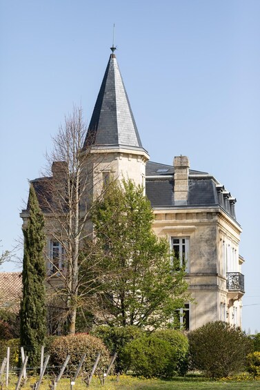 Picture 5 for Activity Visit & Tasting Château Yon-Figeac Grand Cru Classé