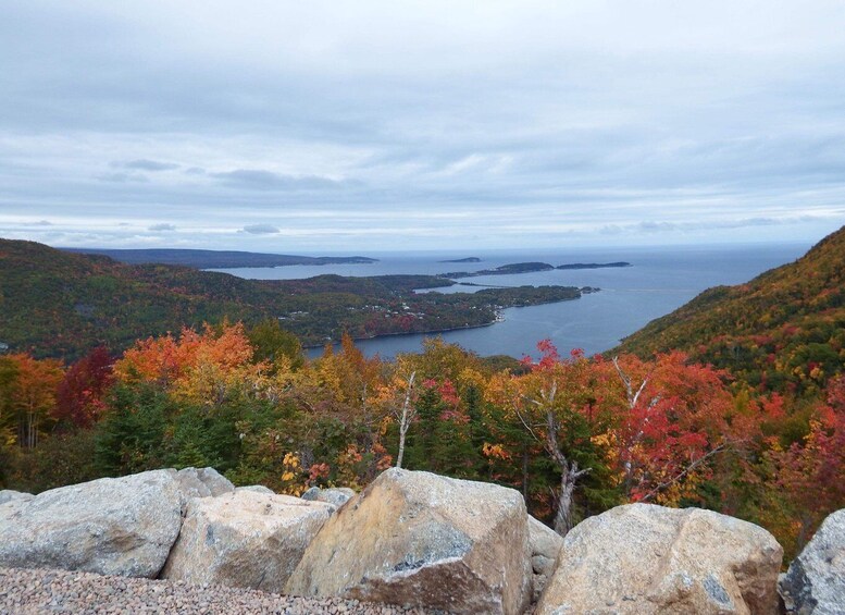 Picture 5 for Activity Highlands National Park: Cabot Trail Tour w/ Ferry