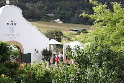 Cape Town: The Constantia Classic – Full Day Tour