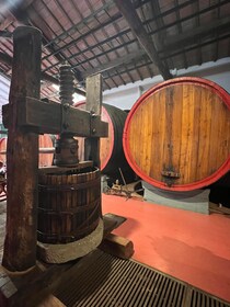 Modena: Parmesan, Balsamic Vinegar, Lambrusco Tour + Lunch