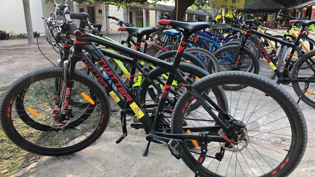 Picture 2 for Activity Diani Beach: Village tour on a bike with hotel pick-up