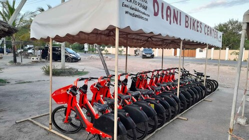 Playa de Diani: recorrido por el pueblo en bicicleta con recogida en el hot...