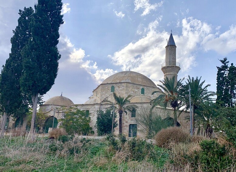 Picture 5 for Activity Larnaca: explore the Top-sightseeing-Spots and Saltlakes