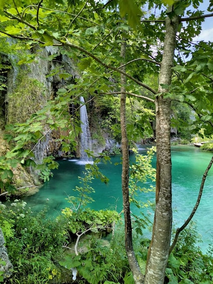 Picture 3 for Activity Plitvice lakes: Guided walking tour with a boat ride