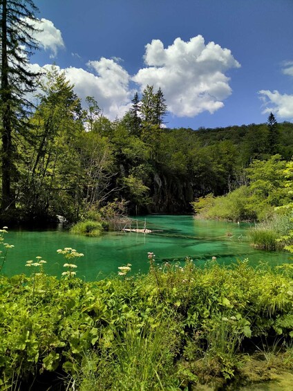 Picture 7 for Activity Plitvice lakes: Guided walking tour with a boat ride