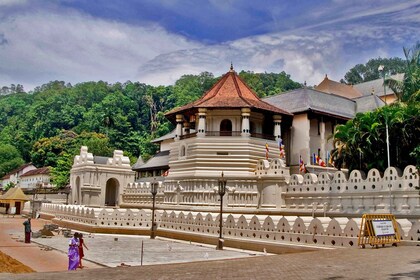 Tur Pribadi Pinnawala & Kandy Sehari dari Negombo