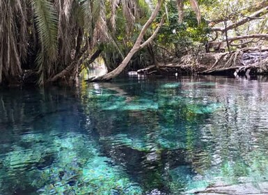 Tour de 1 día a las aguas termales