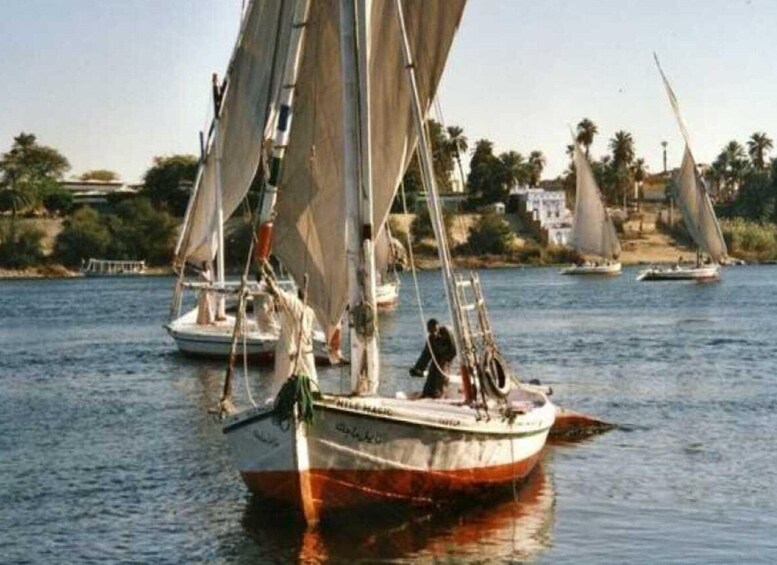 Picture 9 for Activity Luxor: Balloon, Quad Bike, Horse Ride, felucca with meals