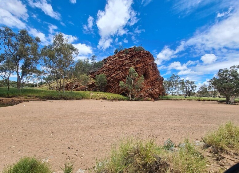 Picture 3 for Activity MacDonnell Ranges & Alice Town Highlights Full Day Tour