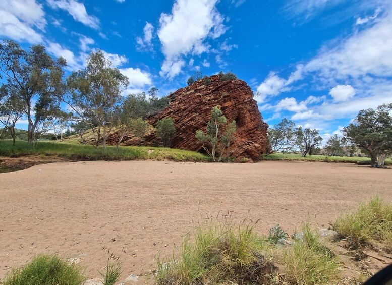 Picture 3 for Activity MacDonnell Ranges & Alice Town Highlights Full Day Tour