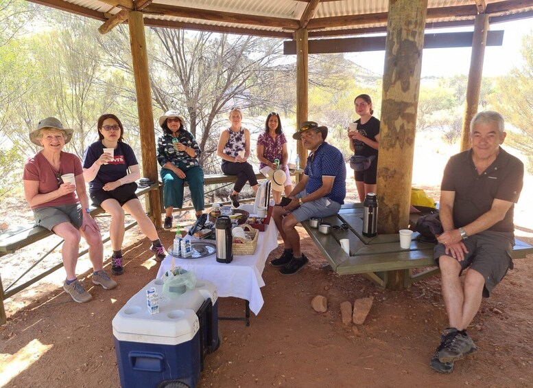 Picture 2 for Activity MacDonnell Ranges & Alice Town Highlights Full Day Tour