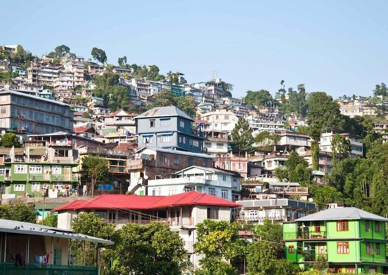 Day Trip to Kalimpong (Guided Private Tour from Darjeeling)