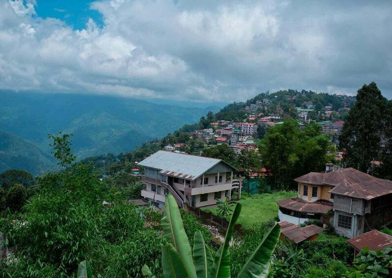 Picture 2 for Activity Day Trip to Kalimpong (Guided Private Tour from Darjeeling)