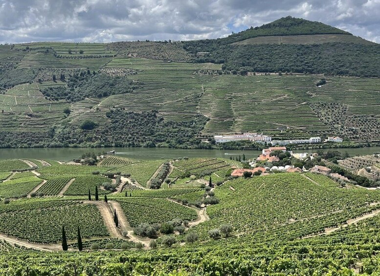 Picture 16 for Activity Porto: Douro Valley Hike, Winery Visit and Tasting