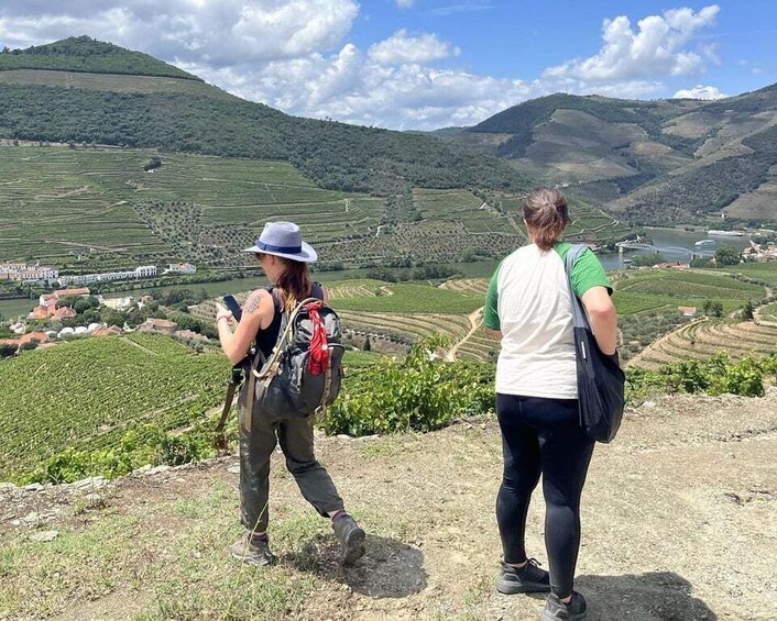 Picture 18 for Activity Porto: Douro Valley Hike, Winery Visit and Tasting