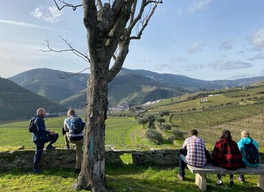 Porto : Randonnée dans la vallée du Douro, visite de vignobles et dégustati...