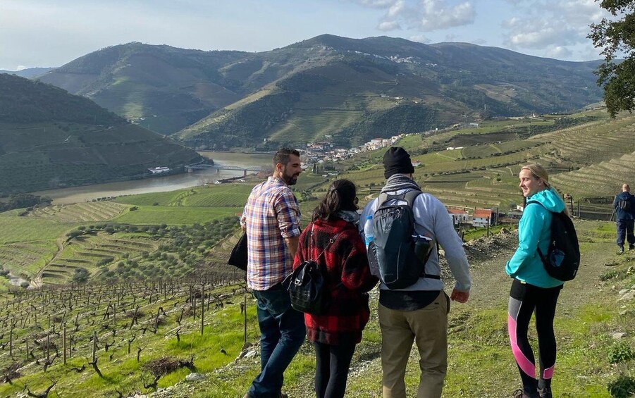 Picture 1 for Activity Porto: Douro Valley Hike, Winery Visit and Tasting