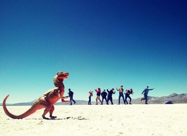 ทัศนศึกษาเต็มวันสู่ทะเลสาบ Salinas Lagoon ในเมือง Arequipa