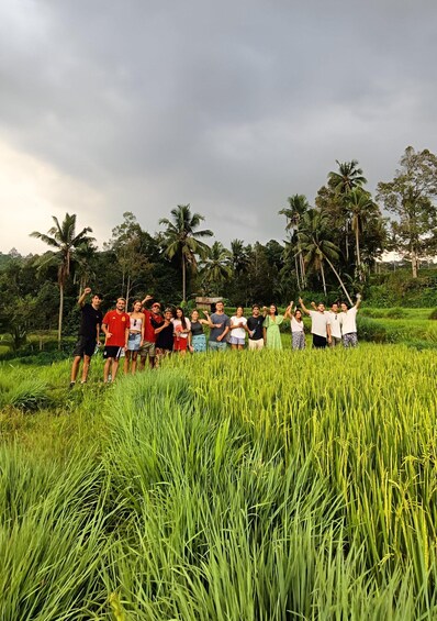 Picture 7 for Activity Rice Field - Benang Kelambu & Benang Stokel Waterfall Trip