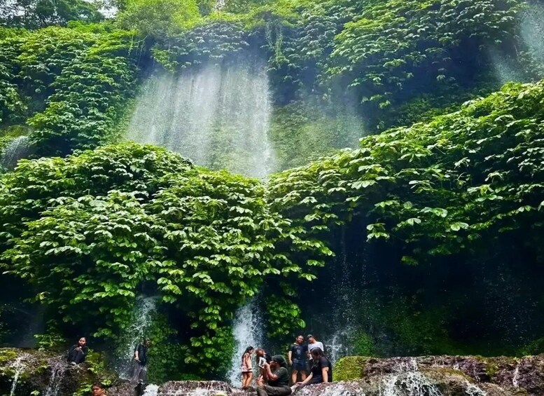 Picture 1 for Activity Rice Field - Benang Kelambu & Benang Stokel Waterfall Trip