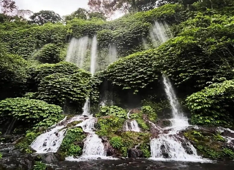 Picture 4 for Activity Rice Field - Benang Kelambu & Benang Stokel Waterfall Trip