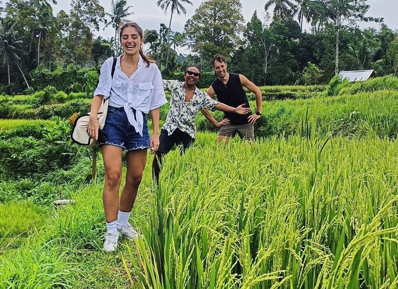 Picture 8 for Activity Rice Field - Benang Kelambu & Benang Stokel Waterfall Trip