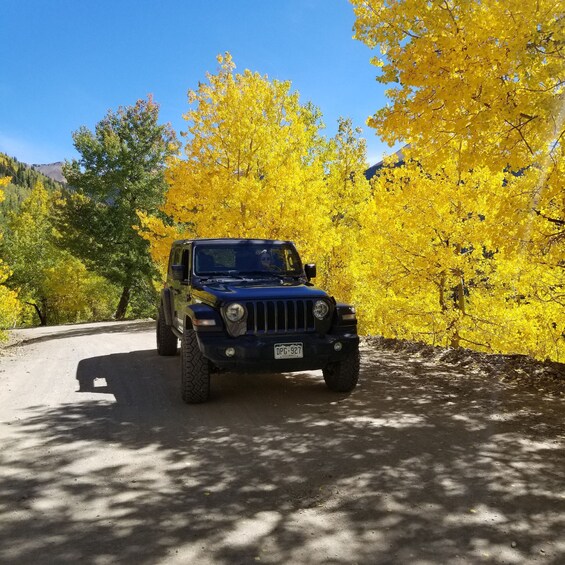 Picture 5 for Activity Durango: Backcountry Jeep Tour to the Top of Bolam Pass