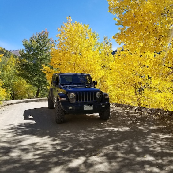 Picture 5 for Activity Durango: Backcountry Jeep Tour to the Top of Bolam Pass