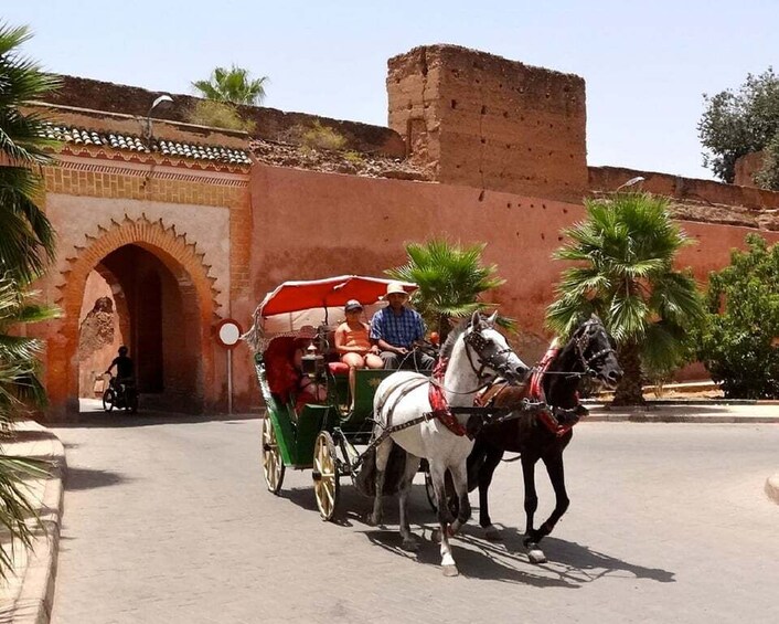 Picture 7 for Activity Marrakech Excursion Full Day Trip From Agadir