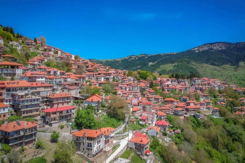 Picture 2 for Activity Metsovo: Food, Wine & Culture Walking tour