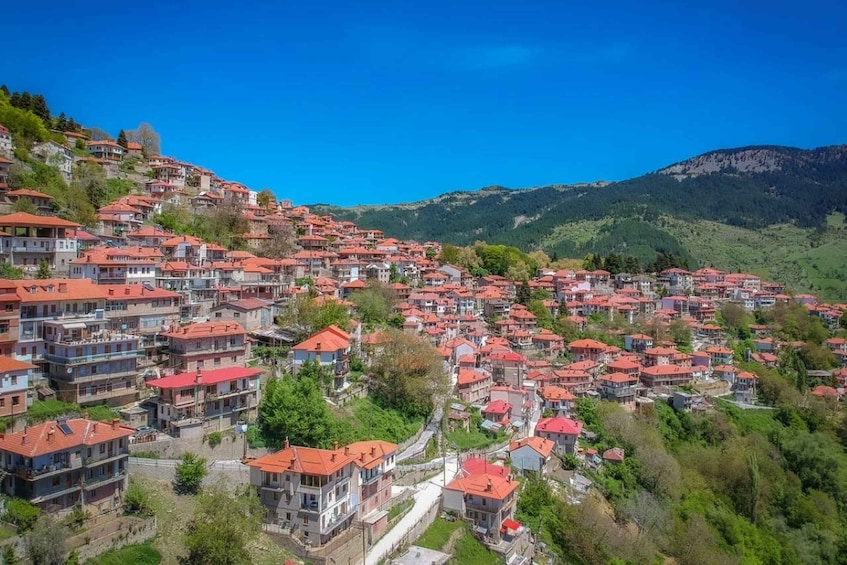 Picture 2 for Activity Metsovo: Food, Wine & Culture Walking tour