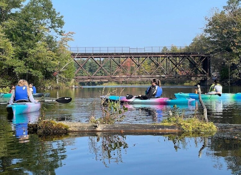 Picture 7 for Activity Guided Covered Bridge Kayak Tour, Southern Maine