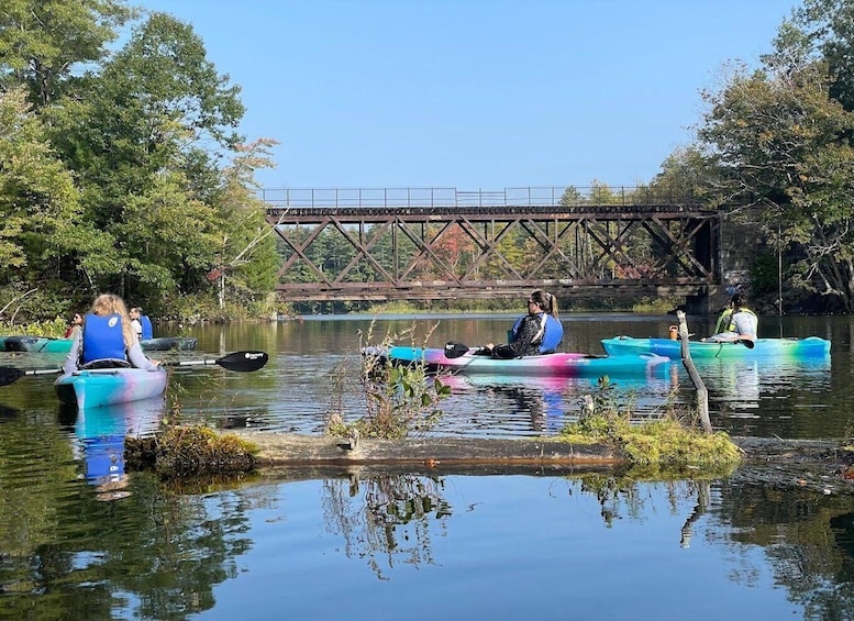 Picture 7 for Activity Guided Covered Bridge Kayak Tour, Southern Maine