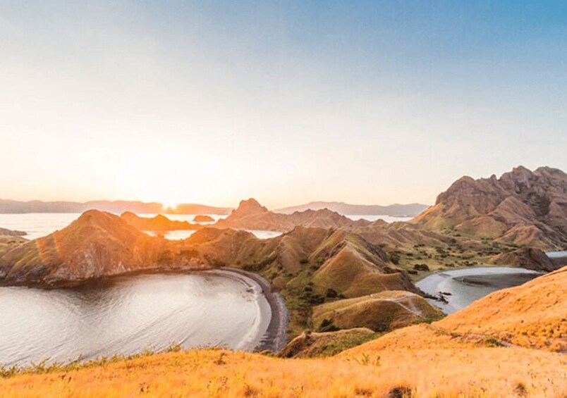 Picture 9 for Activity Komodo Islands: 2D1N Speedboat Tour, Land Tour & Hotel Stay