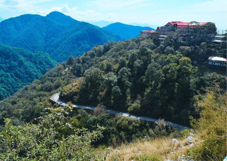 Picture 7 for Activity Nature Walk of Mussoorie (2 Hours Guided Walking Tour)