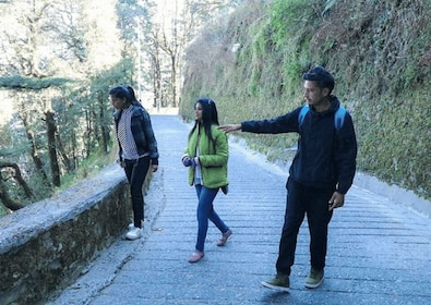 Promenade nature de Mussoorie (2 heures de visite guidée à pied)