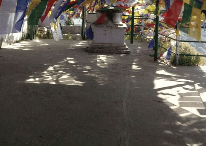 Picture 5 for Activity Nature Walk of Mussoorie (2 Hours Guided Walking Tour)