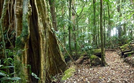 Monteverde: Curi-Cancha Reserve Tour with Entry Ticket