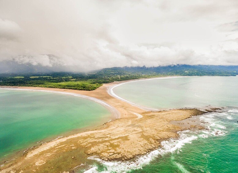 Picture 16 for Activity Uvita: Marino Ballena National Park Private Guided Walk Tour