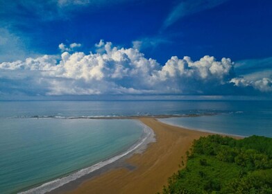 Uvita: Marino Ballena National Park Private Guided Walk Tour