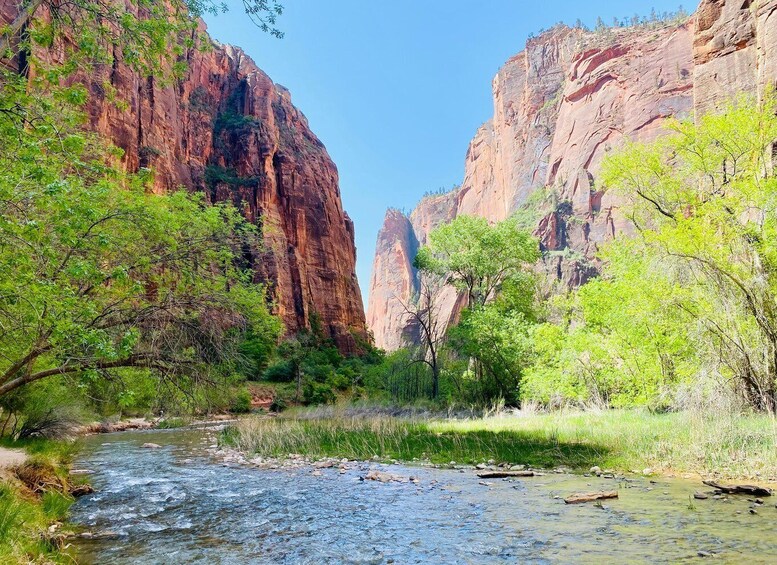 Picture 3 for Activity Zion Narrows - Guided Hike and Picnic