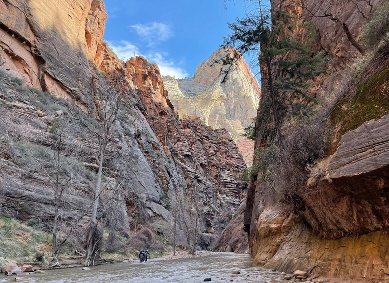 Picture 4 for Activity Zion Narrows - Guided Hike and Picnic