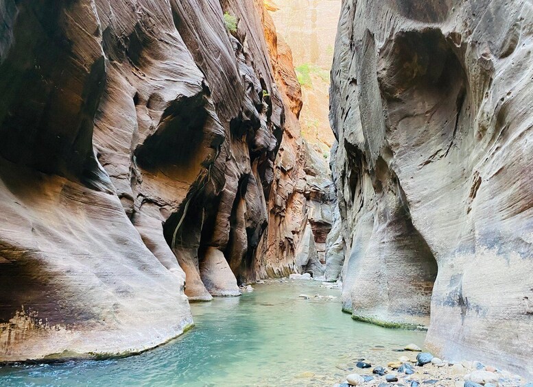 Picture 1 for Activity Zion Narrows - Guided Hike and Picnic