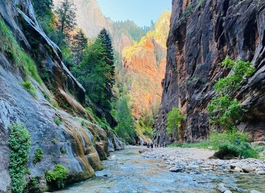 Zion Narrows - guidet fottur og piknik