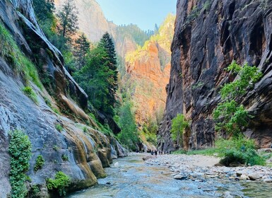 Zion Narrows - guidet fottur og piknik