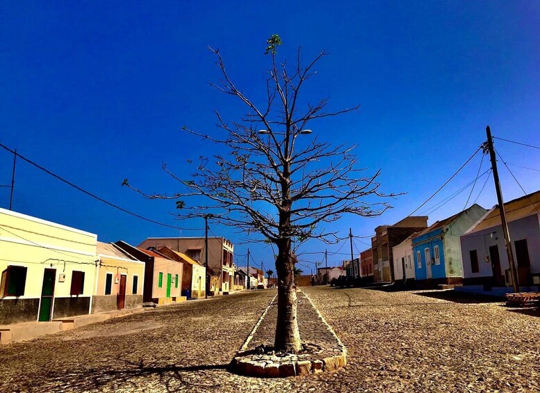 Picture 10 for Activity Boavista: 4x4 Island Tour, Santa Monica, Dune, Caves & Lunch